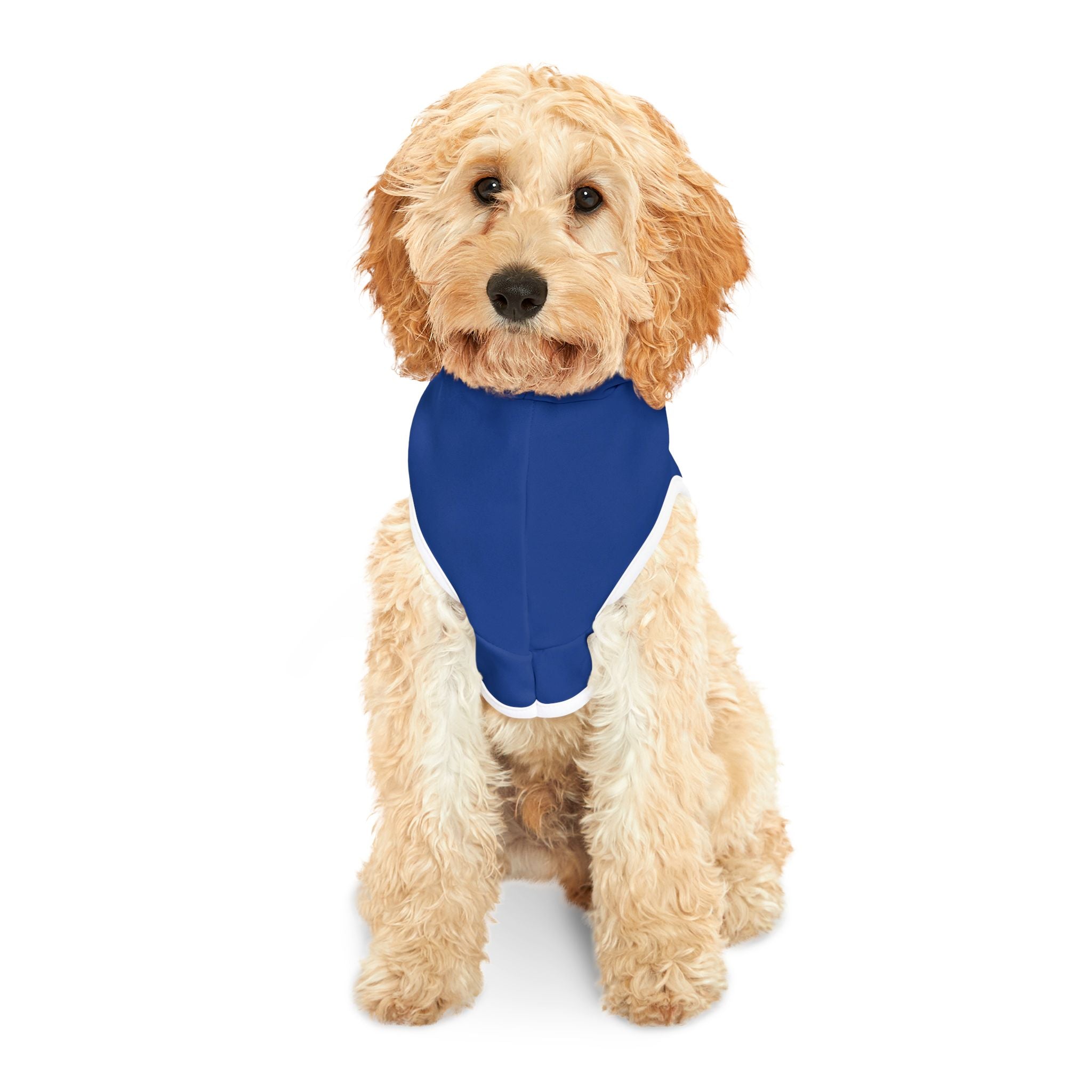 Proud To Protect Our Borders USA Pet Hoodie