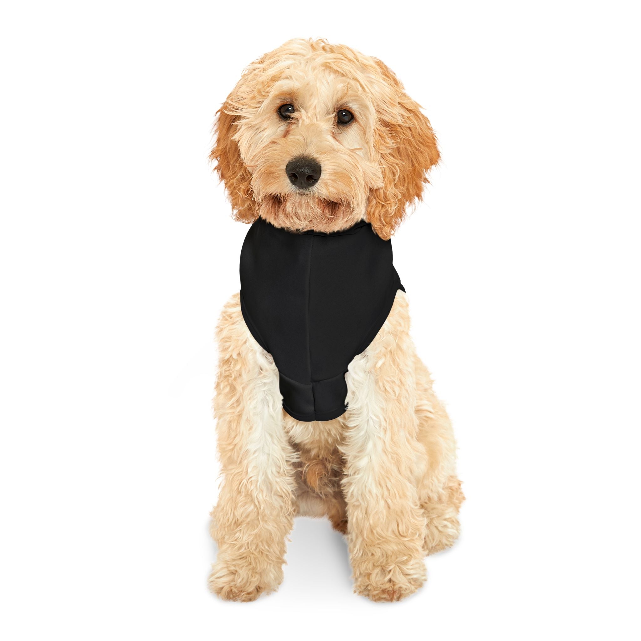 Proud To Protect Our Borders USA Pet Hoodie