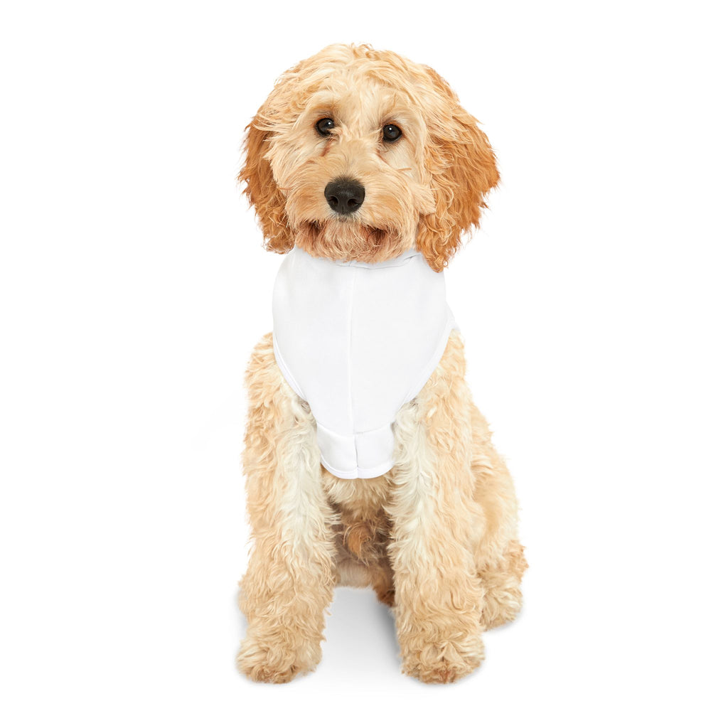 The front of white pet hoodie with white trim and red, white and blue striped text "Defend America" on dog  #DefendAmerica #American #MadeinAmerica #MadeinUSA #USA #USApride #America #USAflag #doghoodie #dog #dogs #pethoodie #pet #pets #American #MadeinAmerica #MadeinUSA #USA #USApride #America  #americanmade #americanmadeproduct #americanmadeproducts #productsmadeinAmerica #USAmade #productmadeinUSA #productsmadeinUSA

