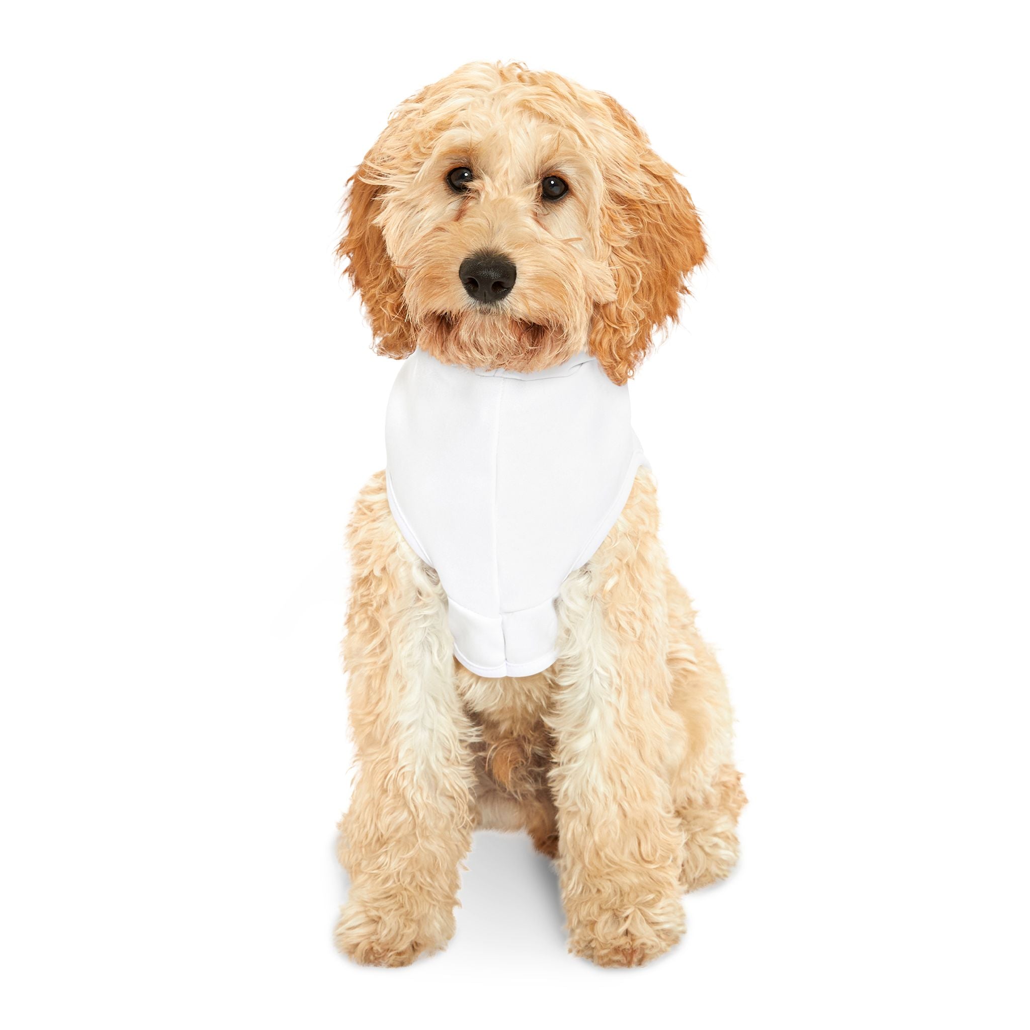 The front of white pet hoodie with white trim and red, white and blue striped text "Defend America" on dog  #DefendAmerica #American #MadeinAmerica #MadeinUSA #USA #USApride #America #USAflag #doghoodie #dog #dogs #pethoodie #pet #pets #American #MadeinAmerica #MadeinUSA #USA #USApride #America  #americanmade #americanmadeproduct #americanmadeproducts #productsmadeinAmerica #USAmade #productmadeinUSA #productsmadeinUSA

