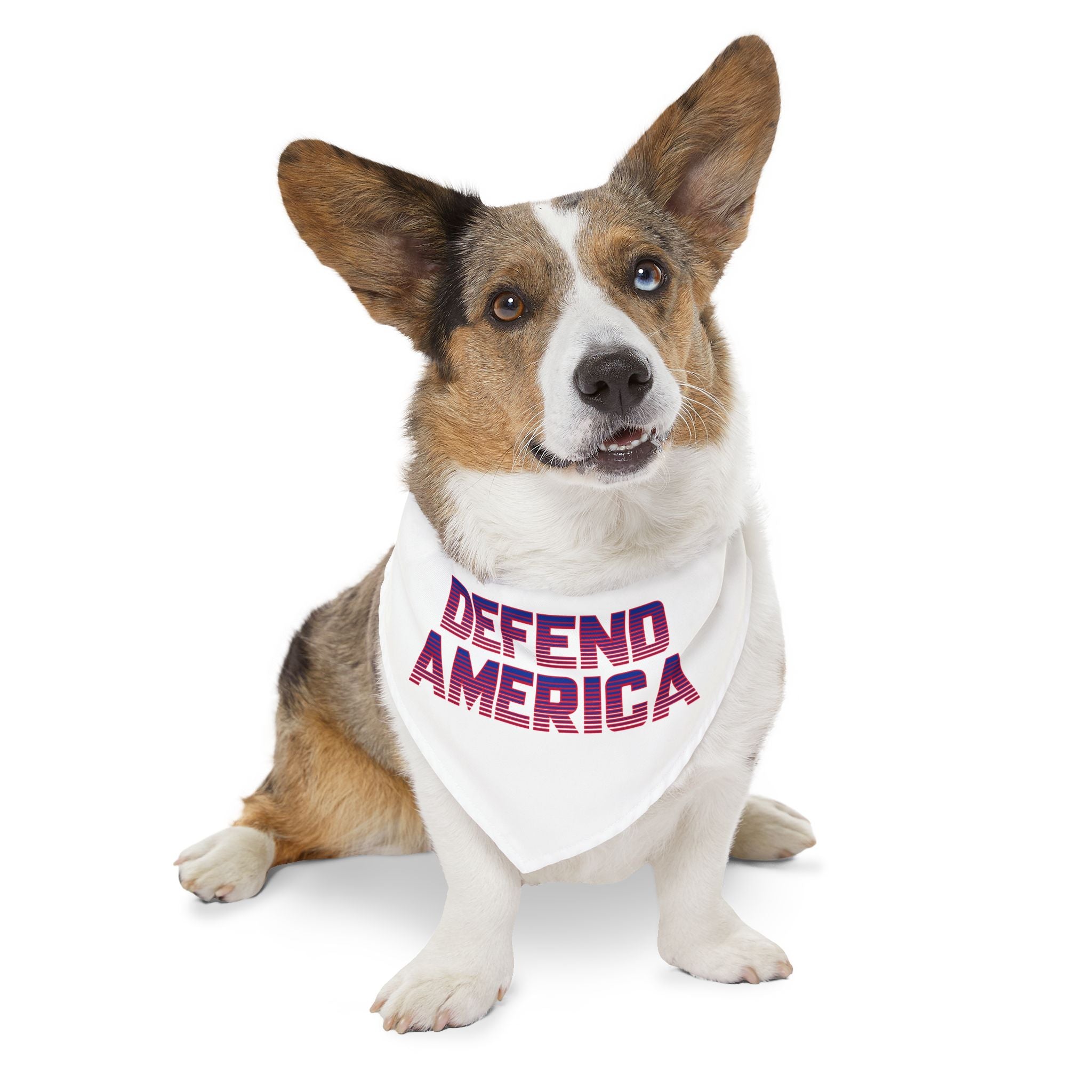 White bandana pet collar with adjustable strap with red and blue striped text
'DEFEND AMERICA"  on dog#ProudtoProtectourborders #American #MadeinAmerica #MadeinUSA #USA #USApride #America #Americanborder #baldeagle #USAflag #doghoodie #dog #dogs #pethoodie #pet #pets 
#American #MadeinAmerica #MadeinUSA #USA #USApride #America  #americanmade #americanmadeproduct #americanmadeproducts #productsmadeinAmerica #USAmade #productmadeinUSA #productsmadeinUSA
