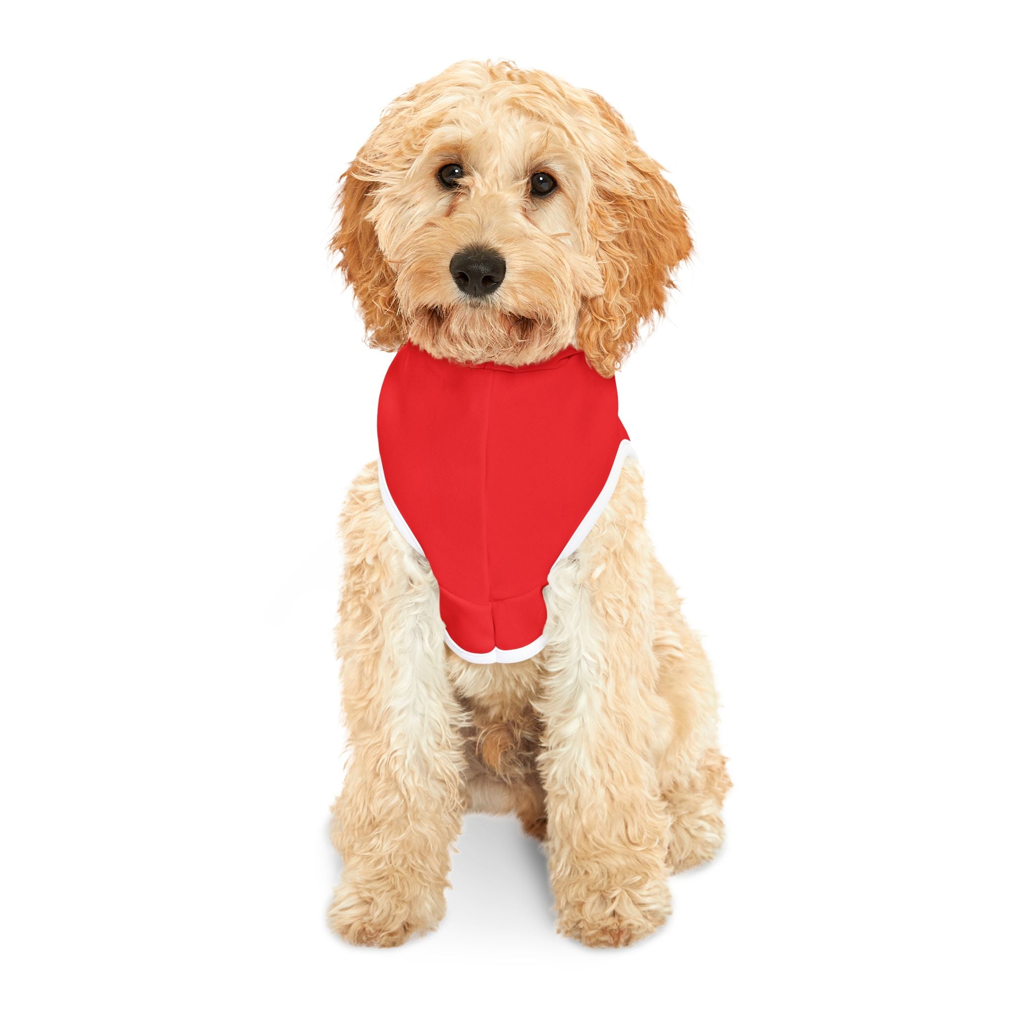 Red pet hoodie with white trim and white text "The Golden Age" with American flag, bald eagle, mountains, stars and sun artistic image on dog #TheGoldenAge #American #MadeinAmerica #MadeinUSA #USA #USApride #America #mountains #sun #Americanflag #USAflag #doghoodie #dog #dogs #cat #cats #cathoodie #pethoodie #pet #pets #americanmade #americanmadeproduct #americanmadeproducts  #americanmade #americanmadeproduct #americanmadeproducts #productsmadeinAmerica #productmadeinUSA #productsmadeinUSA
